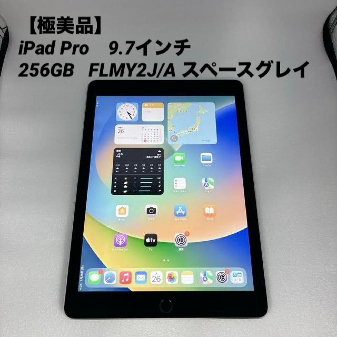 【極美品】iPad Pro 9.7インチ 256GB FLMY2J/A スペース Apple iPad Pro 9.7インチ Wi-Fiモデル 256GB MLMY2J/A [スペース