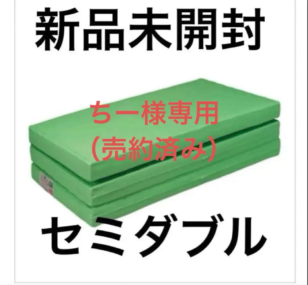 【新品未開封】全健会ヘルスウェーブゴールド／セミダブル※送料込み ヘルスウェーブゴールド すややかD.C.Version - カイロプラクティック